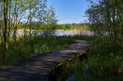  Schlonsee, Bansin, pier 