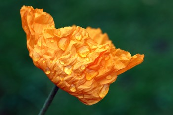 RBGE