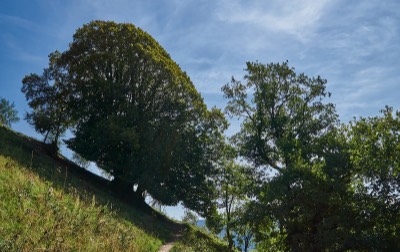  Georgenberg 