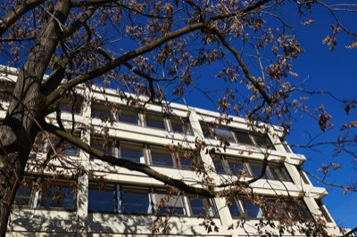  City Hall 