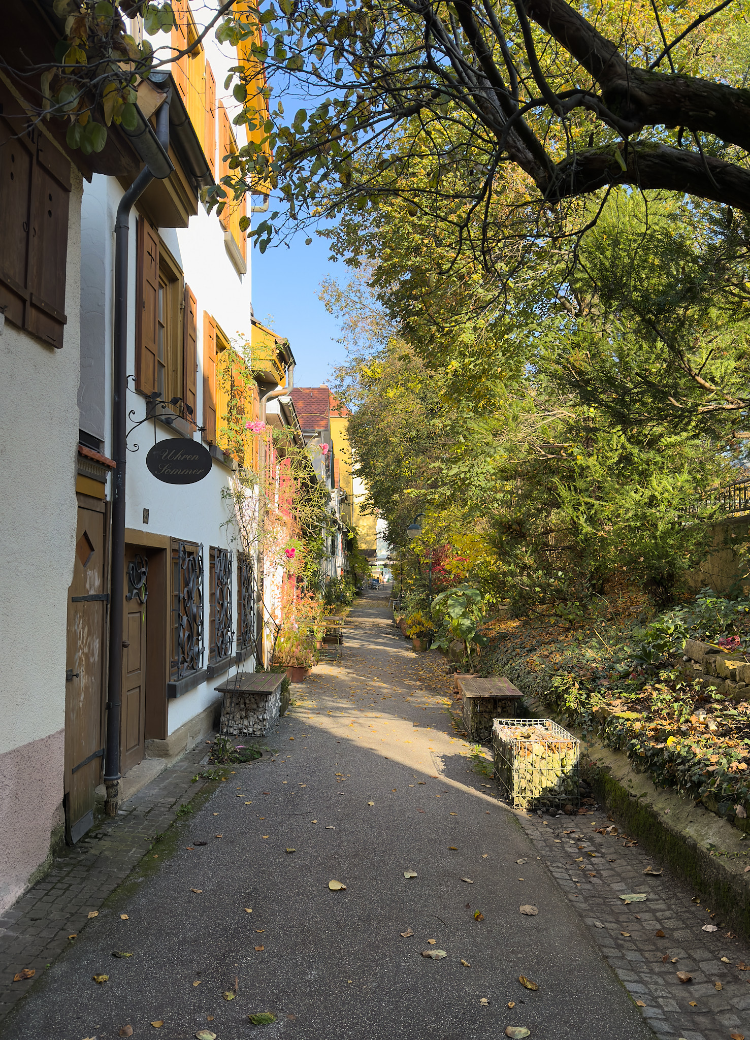  Small pathway near Lederstrasse 