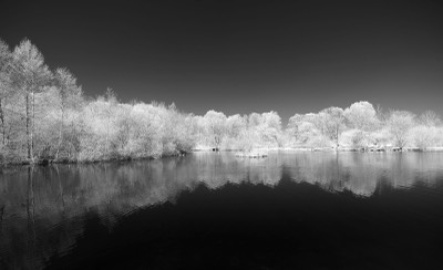  Markwasen 