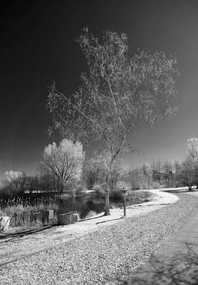  Markwasen 