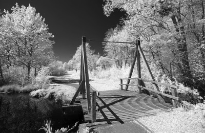  Bridge Markwasen 
