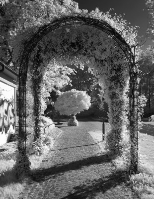  Rennwiese, Volkspark 