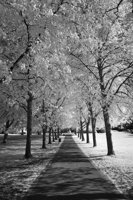  Volkspark 