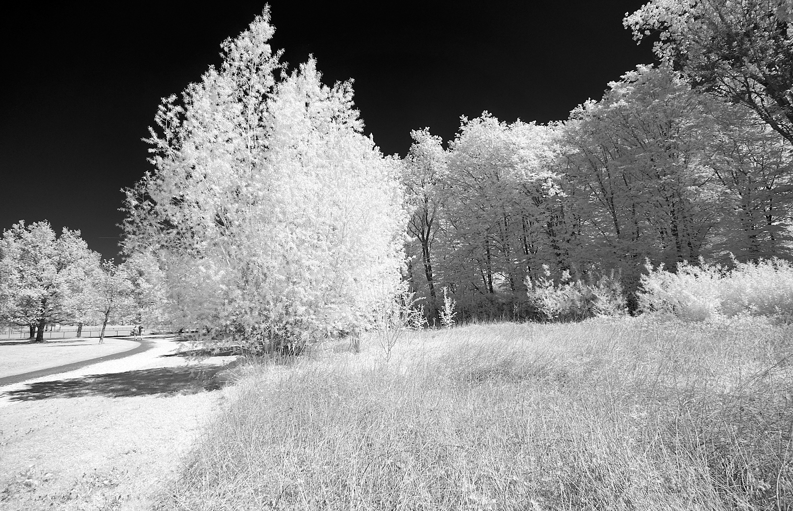  Markwasen sports ground 