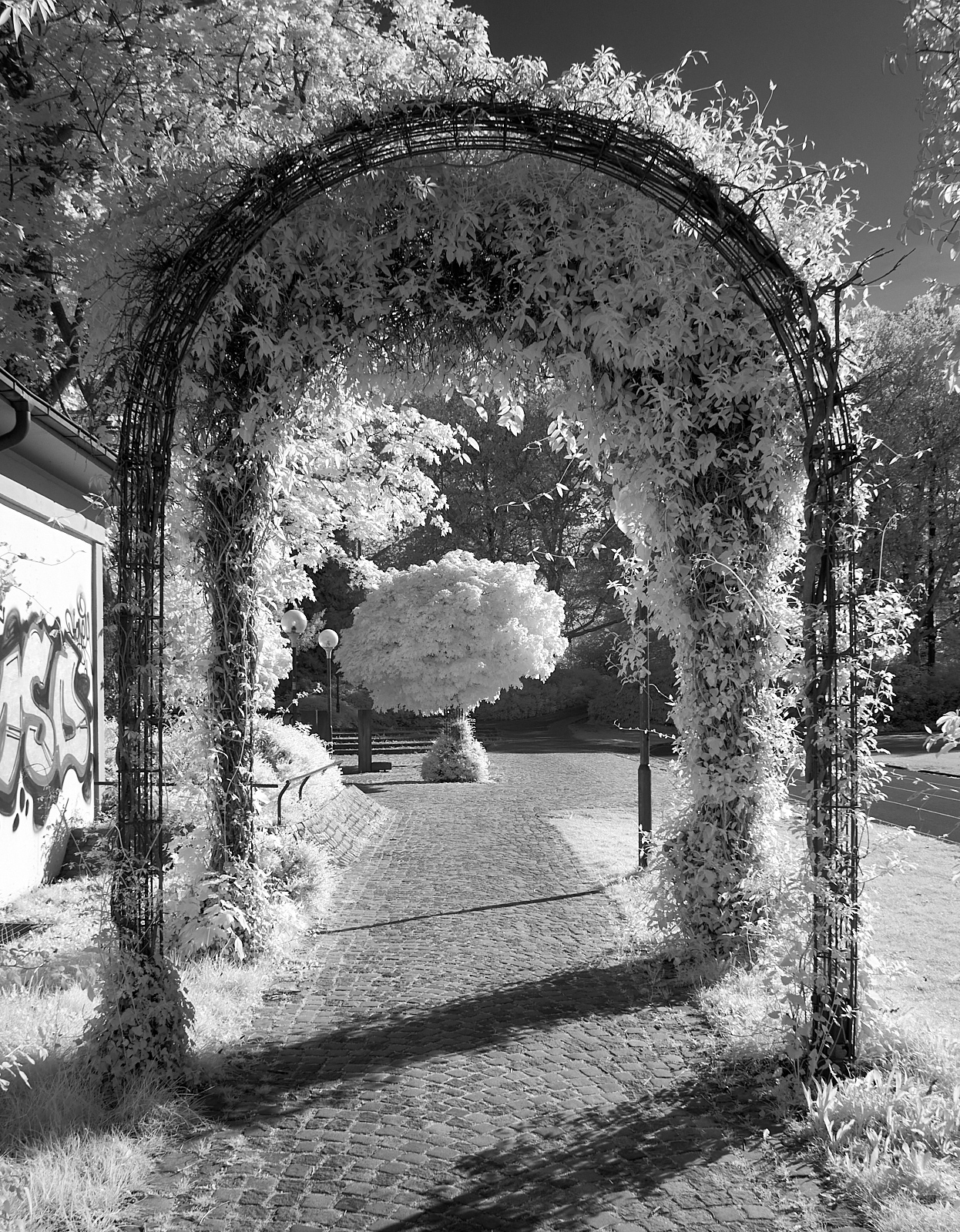  Rennwiese, Volkspark 