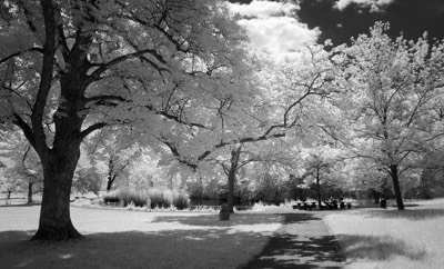  Rosensteinpark 