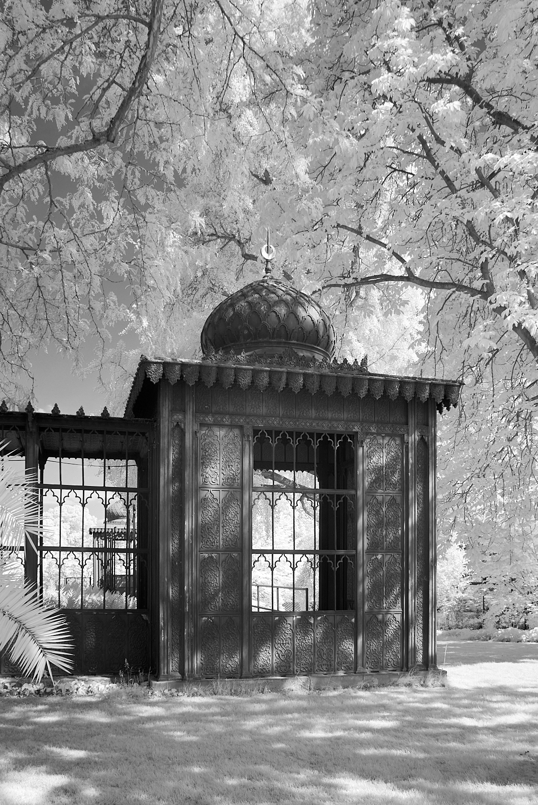  Edge of the Moorish Garden 